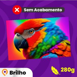 LONA FRONT BRILHO Lona 280g   Brilho Sem acabamento >>>>>>>    MEDIDAS ACIMA DE 3,1M DE ALTURA TERÃO EMENDA   <<<<<<<