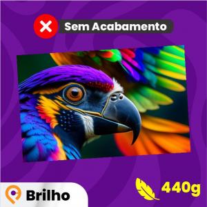 LONA FRONT BRILHO Lona 440g    Sem acabamento 